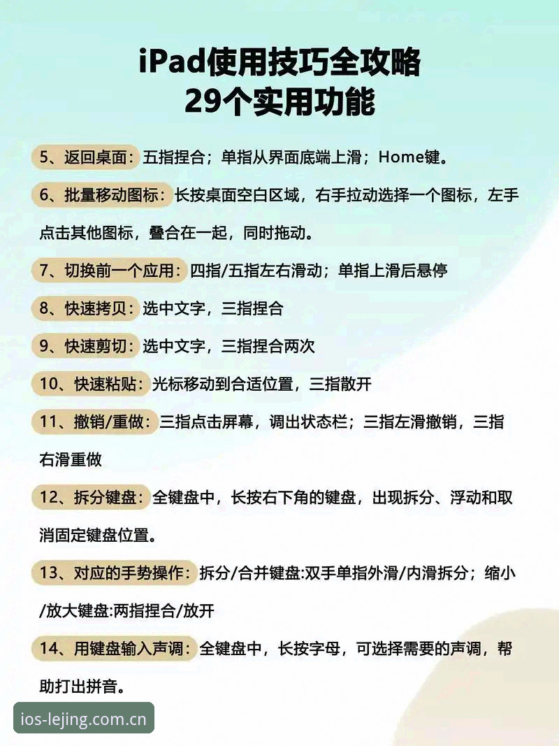 乐竞体育平台使用教程对比完整指南：从下载到实战的操作解析